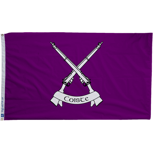 Defense Forces Ireland Infantry Flags