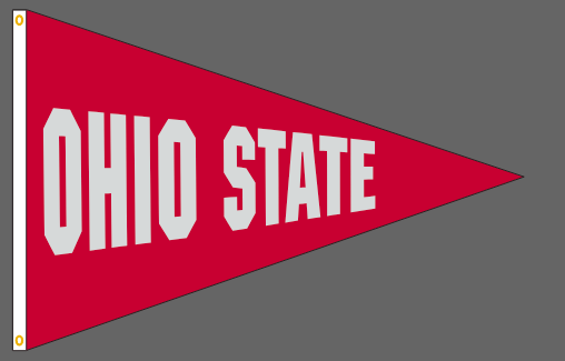 3x40 in Ohio State Big 10 Pennant