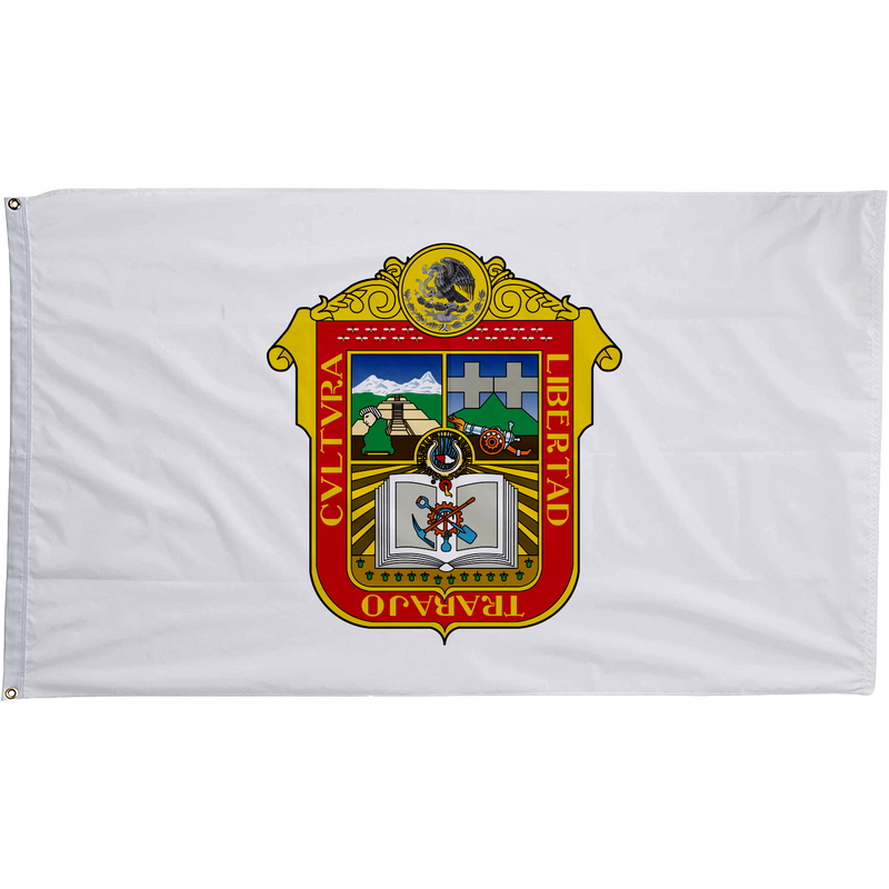 State of Mexico Flag