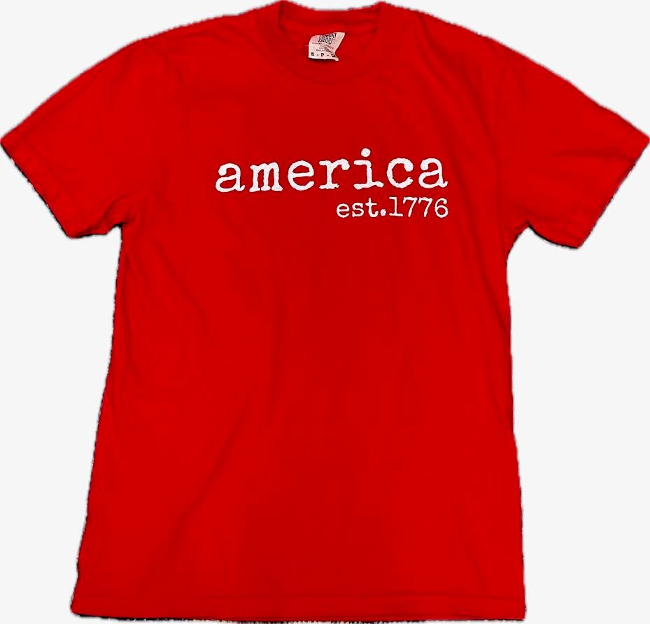 America 1776 Graphic Cotton Tee