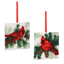 Snowbirds Ornament Cardinal Square Wood, Assortment 4" (Sold Separately)