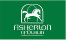 3x5 ft Bright Green Asherton Flag - The Flag Lady
