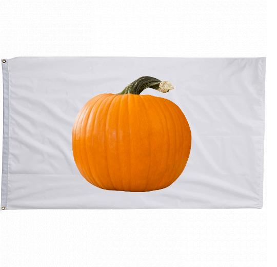 3x5 ft Custom Printed Flag - The Flag Lady