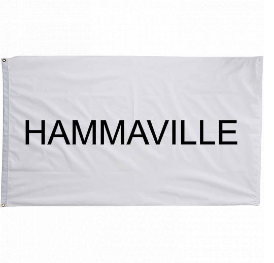3x5 ft Custom Printed Flag - The Flag Lady