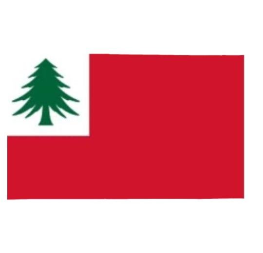 3x5 ft Custom Printed Flag - The Flag Lady