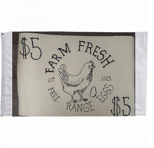 3x5 ft Custom Printed Flag - The Flag Lady