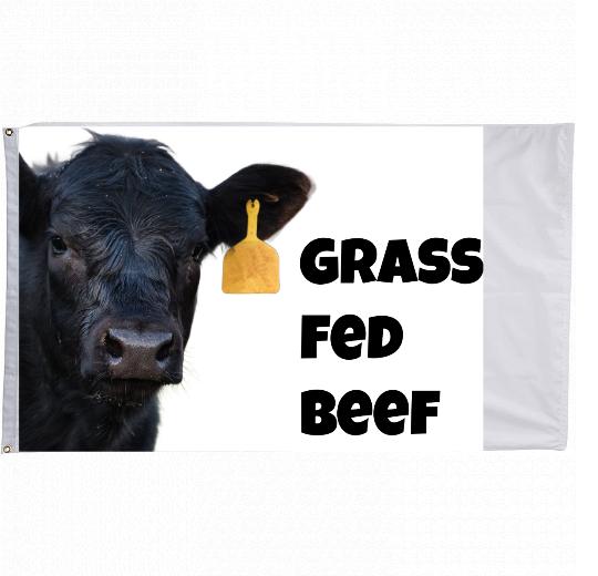 3x5 ft Custom Printed Flag - The Flag Lady