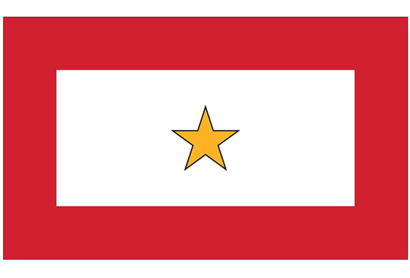 3x5 ft Sewn Service Star Flag - The Flag Lady