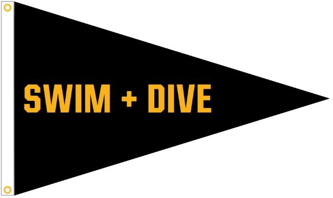 3x5 ft Upper Arlington "Swim and Dive" Pennant - The Flag Lady