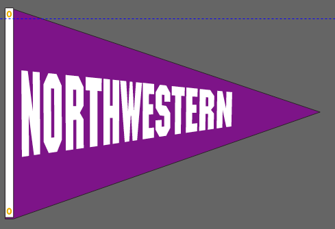 40x60 in Northwestern Big 10 Pennant - The Flag Lady