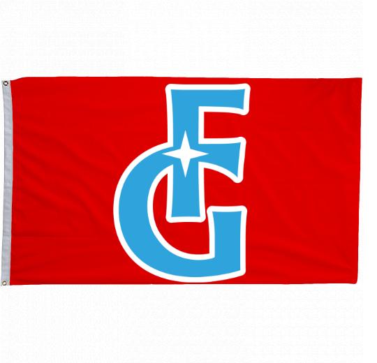 5x8 ft Custom Printed Flag - The Flag Lady