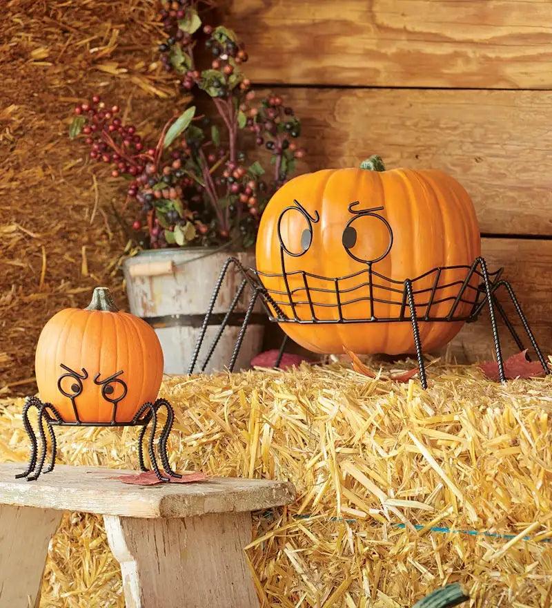 Spooky Spider Pumpkin Holders, set of 2