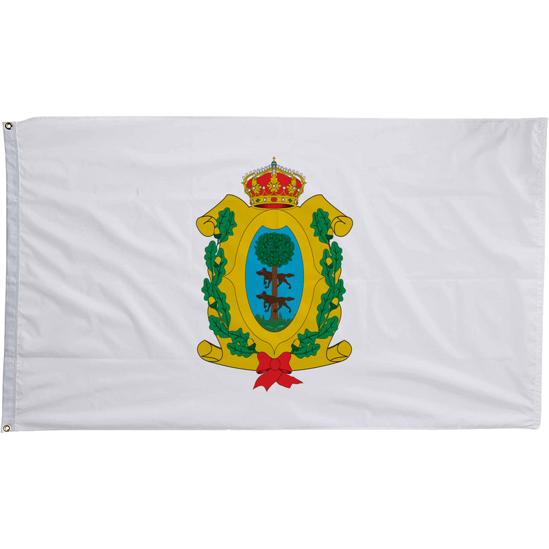 Durango, Mexico Flag
