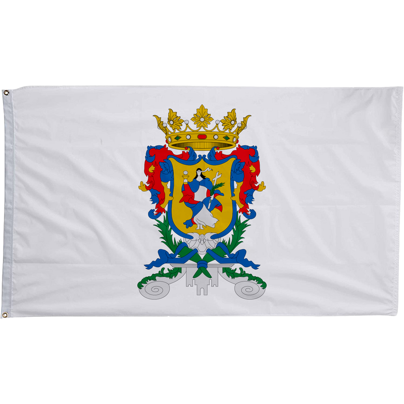 Guanajuato, Mexico Flag