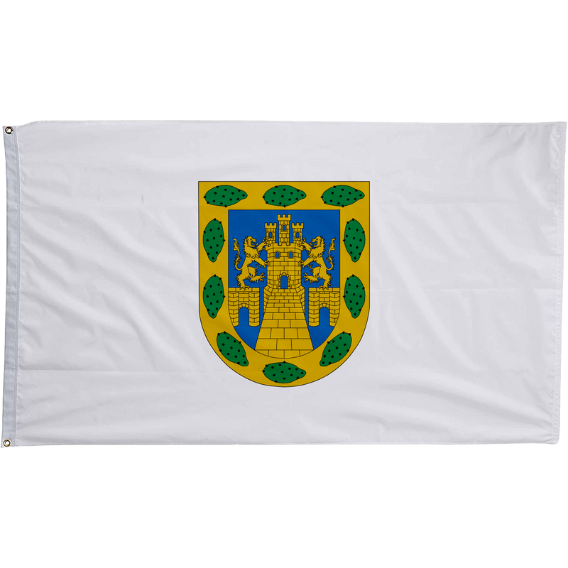Mexico City, Mexico Flag