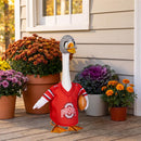 Ohio State University Sports Porch Goose Uniform
