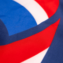 America 250 Flag - The Flag Lady