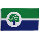 Ann Arbor Michigan Flags - The Flag Lady