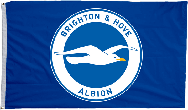 Brighton & Hove Albion Flag - The Flag Lady