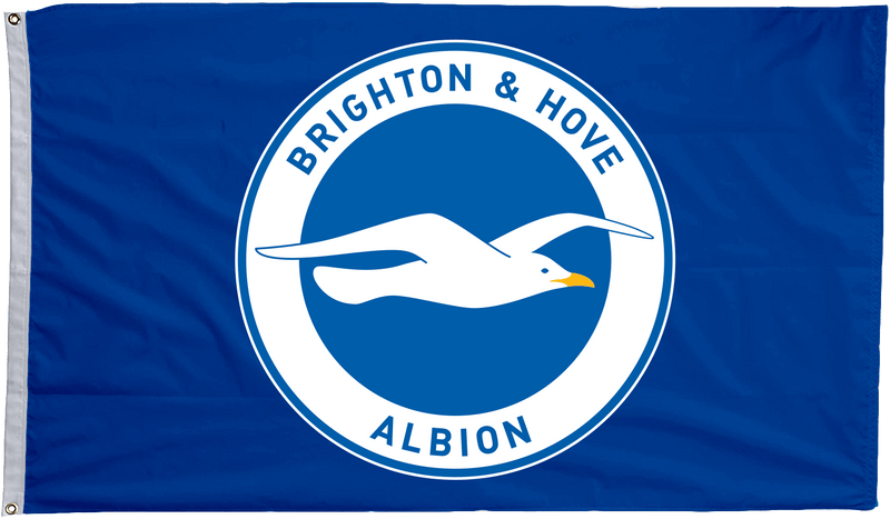 Brighton & Hove Albion Flag - The Flag Lady