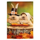 Bunny Pilgrims Suede Garden Flag - The Flag Lady