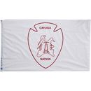 Cayuga Nation Flags - The Flag Lady