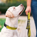 Columbus Crew Pet Collar - The Flag Lady