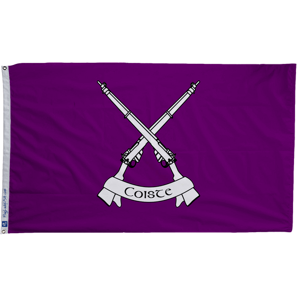 Defense Forces Ireland Infantry Flags - The Flag Lady