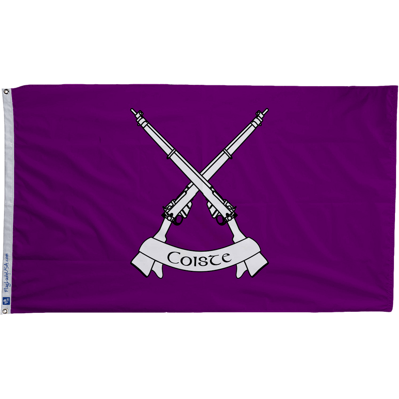 Defense Forces Ireland Infantry Flags - The Flag Lady