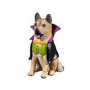 Dog in Halloween Costume Resin Table Decor - The Flag Lady