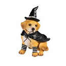 Dog in Halloween Costume Resin Table Decor - The Flag Lady