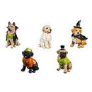 Dog in Halloween Costume Resin Table Decor - The Flag Lady