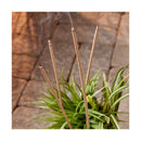 Fig+Honey+Citronella Incense Sticks S/30 - The Flag Lady