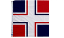 Flag of French Society of Vexillology - The Flag Lady