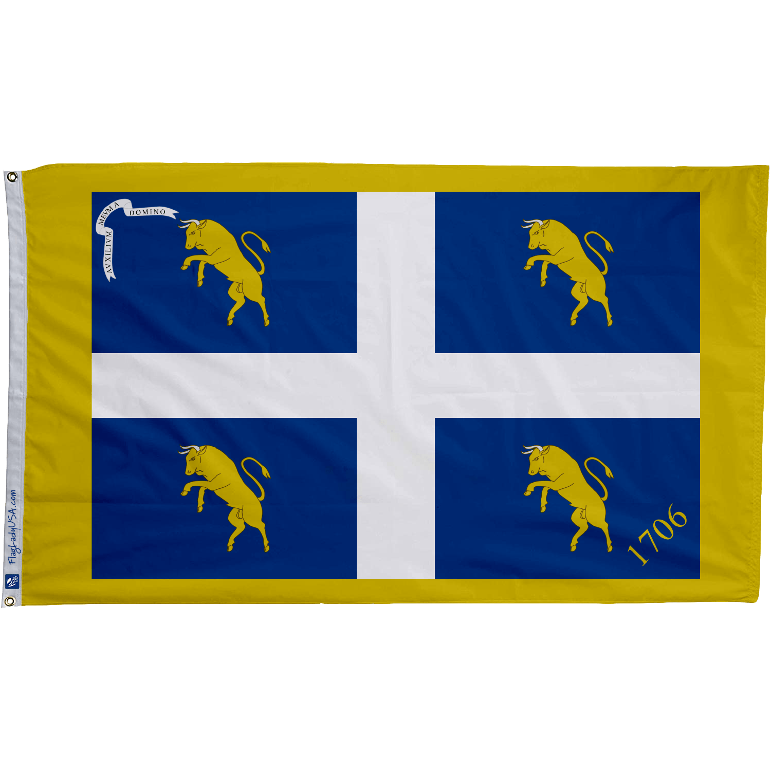 Flag of Turin