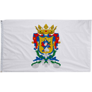 Guanajuato Flags - The Flag Lady