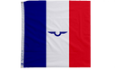 Honor flag of the Chief of Staff of the French Air Force - The Flag Lady