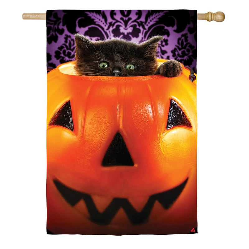 Kitten in Pumpkin Bucket Lustre House Flag - The Flag Lady