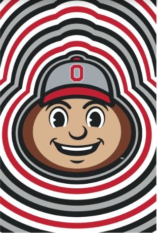 Ohio State University "Dizzy Brutus" Flags - The Flag Lady