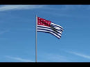 Fort Mercer Flags