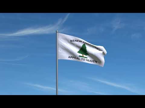 Flag-We The People Betsy Ross 1776 An Appeal To Heaven Pine Tree Flag Garden Flag 11 5 X 17 5 Usa Flags Premium Polyester Decorative Indoor Outdoor Flag Flag-We The People Betsy Ross 1776 An Appeal To Heaven Pine Tree Flag Garden Flag 11 5 X 17 5 Usa Flags Premium Polyester Decorative Indoor Outdoor Flag