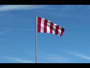 Sons of Liberty Flags