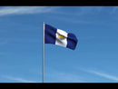 Toledo Ohio Flags