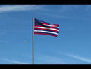 Serapis Flag (John Paul Jones Flag)