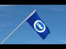 Brighton & Hove Albion Flag