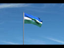 Grove City Ohio Flags
