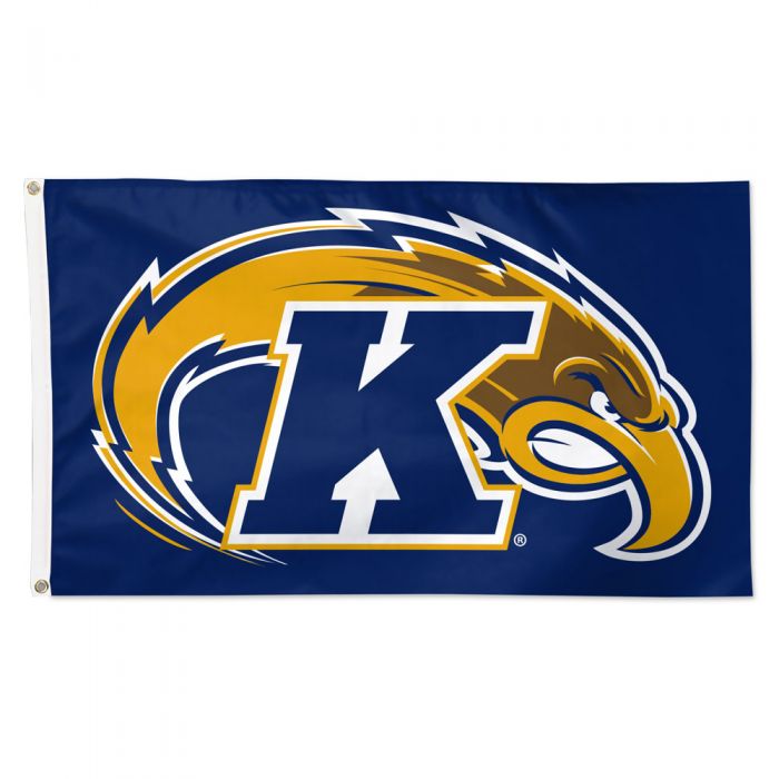 Kent State University Flags