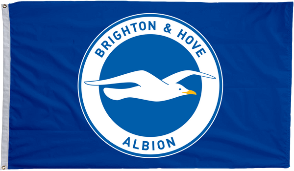Brighton & Hove Albion Flag