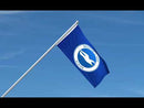 Brighton & Hove Albion Flag