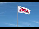 Ace Hardware Flag